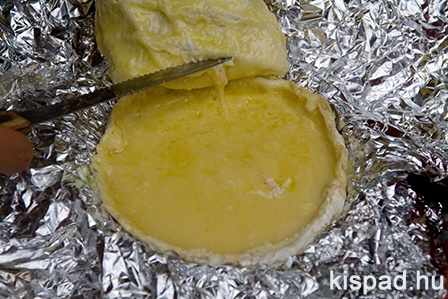 camembert
