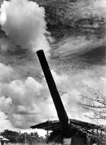 20070306_Coastal_defence_gun_at_Singapore.jpg