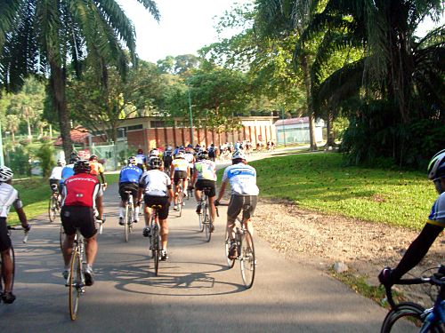 20070311_sunday_ride_IMGP1413.jpg