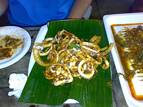 20070416_squid_14042007085.jpg
